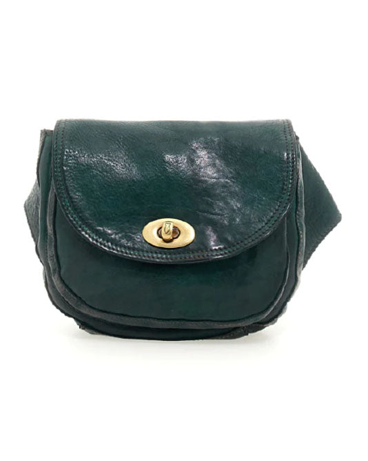 Crossbody Belt Bag in GREEN & BLUE