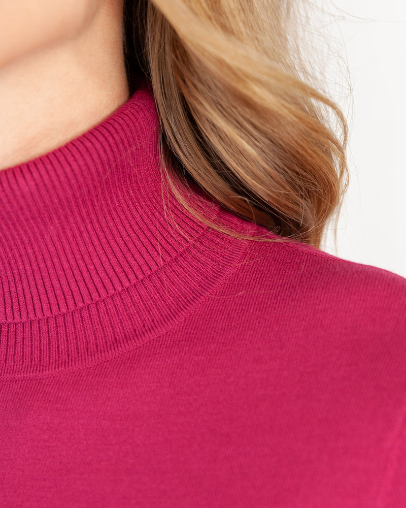 Close Up of Berry Roll Neck Sweater